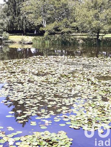 Terrain à vendre 8 616 m² Cluis