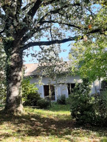 Maison à vendre 8 pièces LE VIGEN (87)