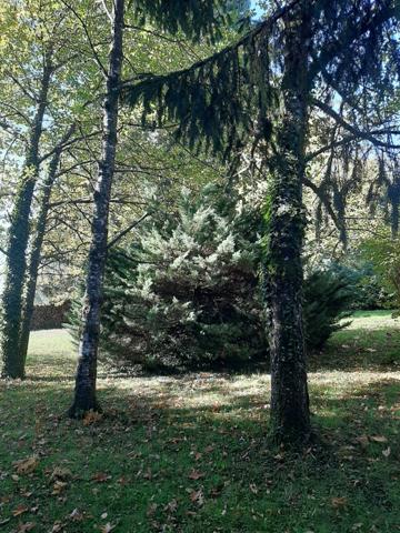 Maison à vendre 8 pièces LE VIGEN (87)