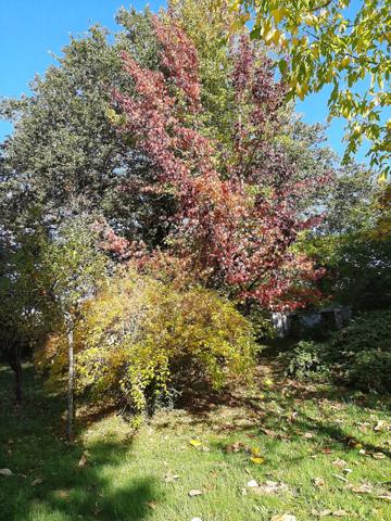 Maison à vendre 8 pièces LE VIGEN (87)