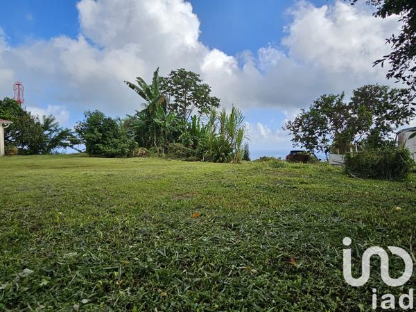 Maison à vendre 5 pièces 139 m² L'Ajoupa-Bouillon