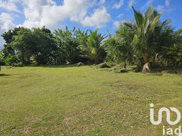 Maison à vendre 5 pièces 139 m² L'Ajoupa-Bouillon