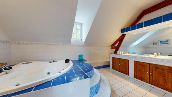 Courcelles-de-Touraine (37330) Propriété avec parc de plus de 5 hectares COURCELLES DE TOURAINE