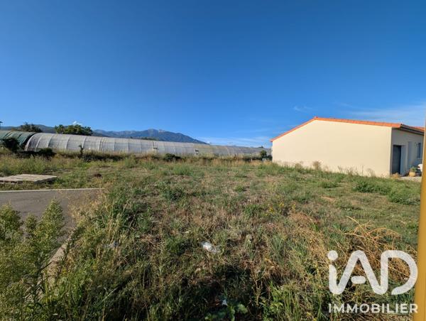 Terrain à vendre 330 m² Vinça