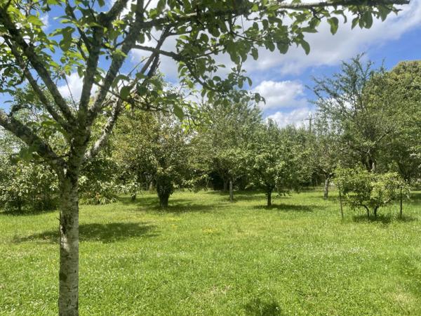 Dpt Yonne (89), à vendre ARCES DILO maison 4 chambres sur 2500 m²