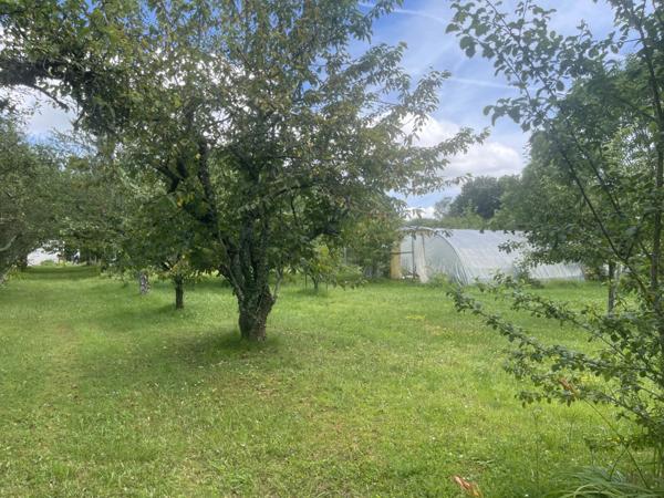 Dpt Yonne (89), à vendre ARCES DILO maison 4 chambres sur 2500 m²