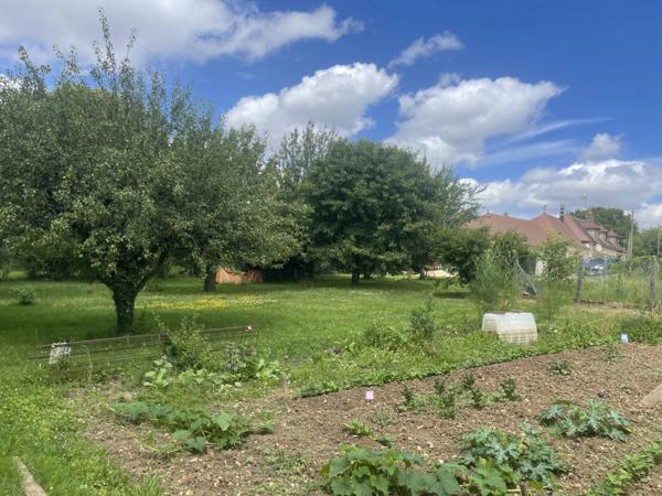 Dpt Yonne (89), à vendre ARCES DILO maison 4 chambres sur 2500 m²