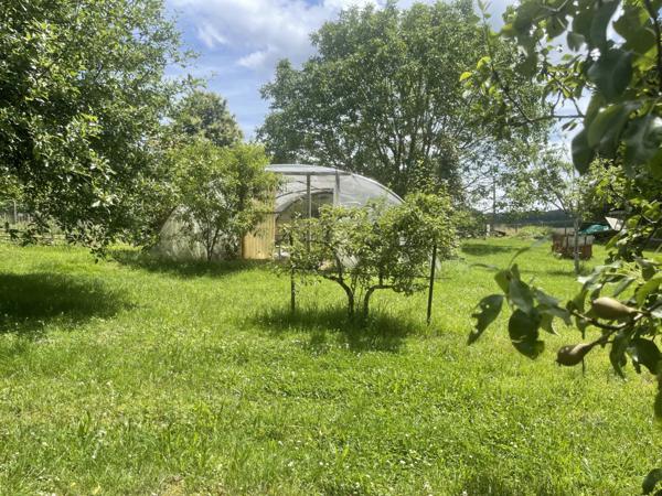 Dpt Yonne (89), à vendre ARCES DILO maison 4 chambres sur 2500 m²