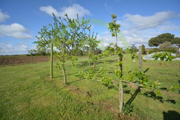 Maison à SAVENES (82600)