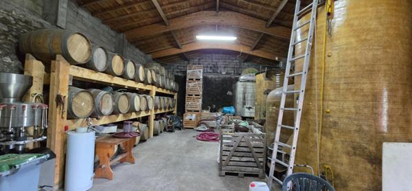 Propriété viticole avec ancien manoir du 15ème siècle, chai, maison d'habitation et dépendances