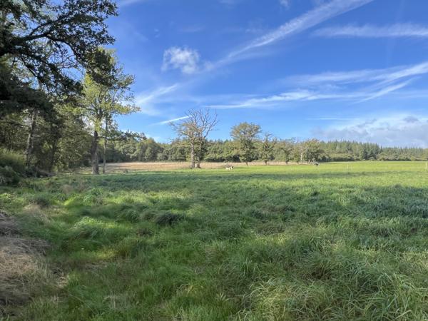 Maison à vendre à Gouzon (23230) - Creuse