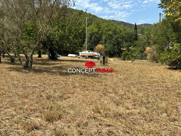 BELGENTIER - Terrain à bâtir plat avec belle emprise au sol