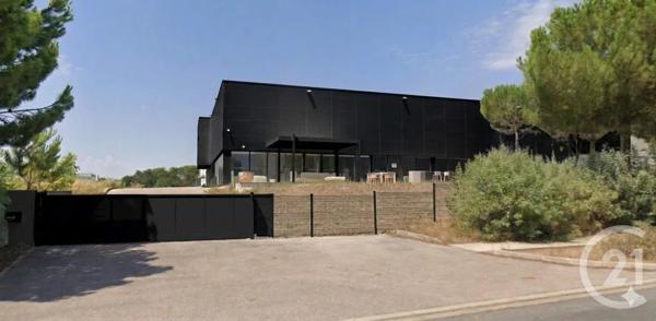 à vendre  1300 m 2   MONTPELLIER  - 34