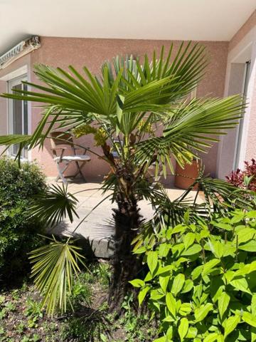 ? Villa d'Exception à Prévessin-Moëns