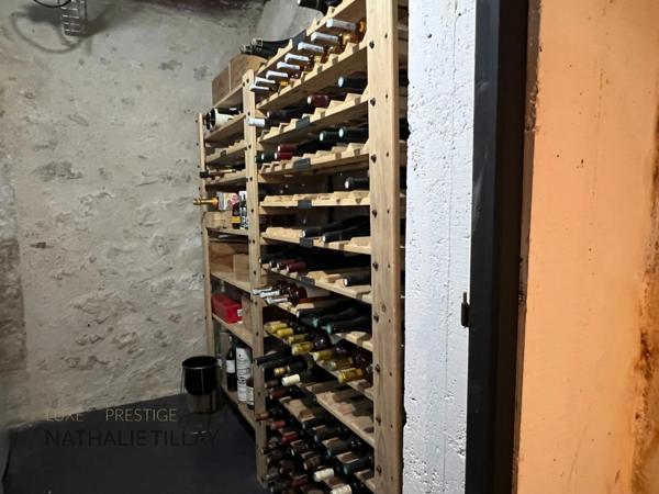 Orleans hyper centre, appartement loft à vendre, avec patio, terrasse et salle de sport