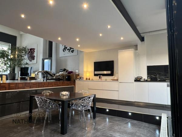 Orleans hyper centre, appartement loft à vendre, avec patio, terrasse et salle de sport