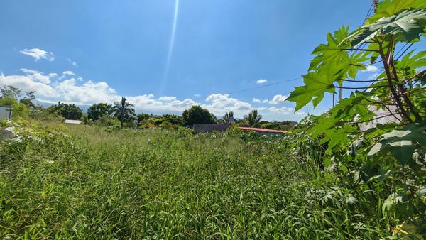 terrain plat constructible de 400 m² a Ravine des Cabris
