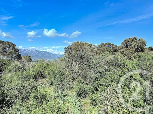 Terrain à vendre  764 m2 PORTO VECCHIO - 201