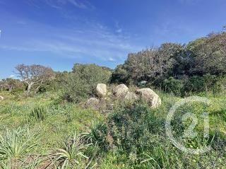 Terrain à vendre  764 m2 PORTO VECCHIO - 201
