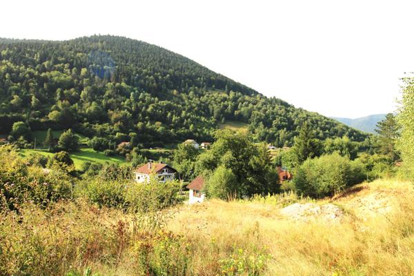 Vente / Terrain constructible