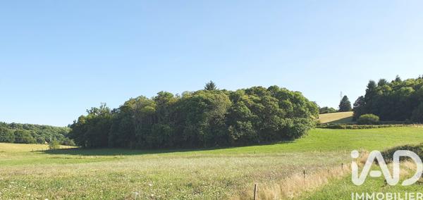 Terrain à vendre 3 002 m² Brive-la-Gaillarde