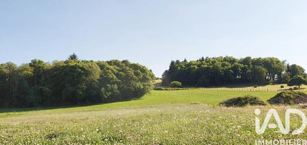 Terrain à vendre 3 002 m² Brive-la-Gaillarde