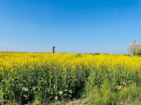 Terrain constructible au calme 1166m2 à 15 min d'Epernon