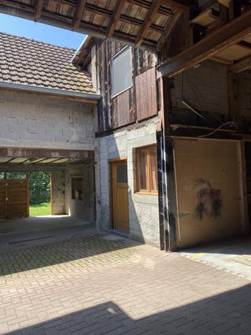 Rixheim Centre - Ancienne ferme 2 logements - Dépendances - Jardin