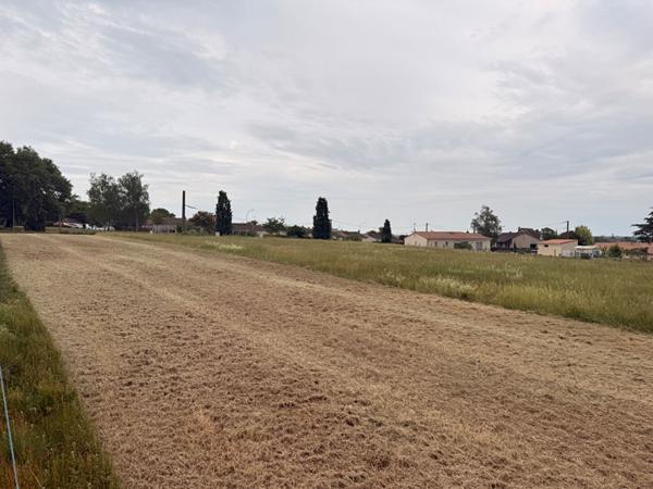 Terrain Montmorillon 2495 m2
