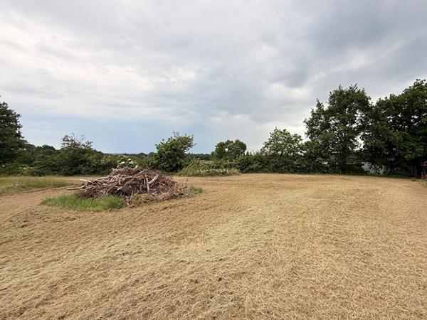 Terrain Montmorillon 2495 m2