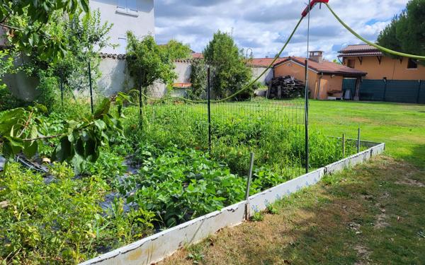 Terrain à vendre    Quincieux