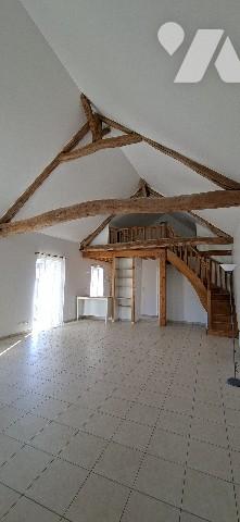 MAGNIFIQUE APPARTEMENT, LOFT EN DEVENIR