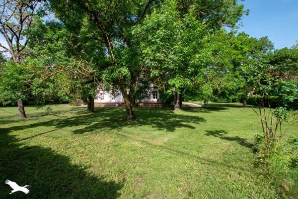 Maison à vendre |  Muret |  11 pièces | 345 m²