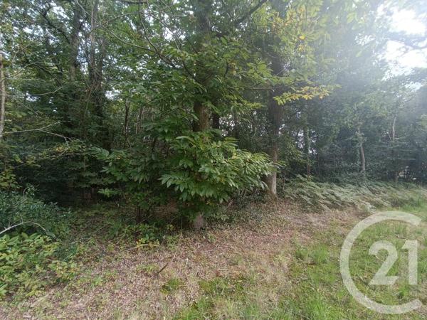 Terrain à vendre  3189 m2 GRAYAN ET L HOPITAL - 33