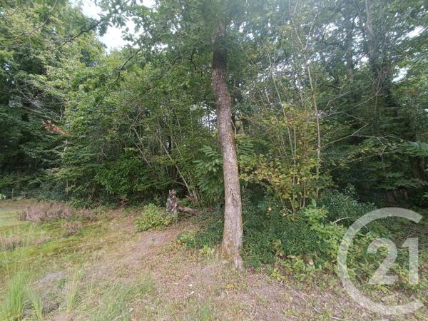 Terrain à vendre  3189 m2 GRAYAN ET L HOPITAL - 33