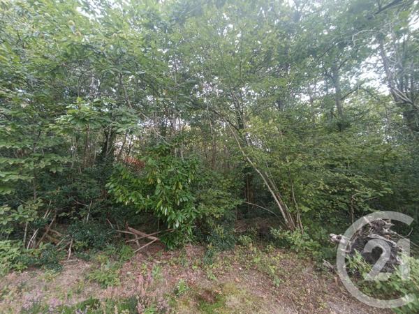 Terrain à vendre  3189 m2 GRAYAN ET L HOPITAL - 33