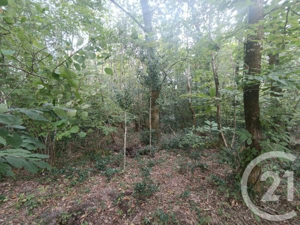 Terrain à vendre  3189 m2 GRAYAN ET L HOPITAL - 33