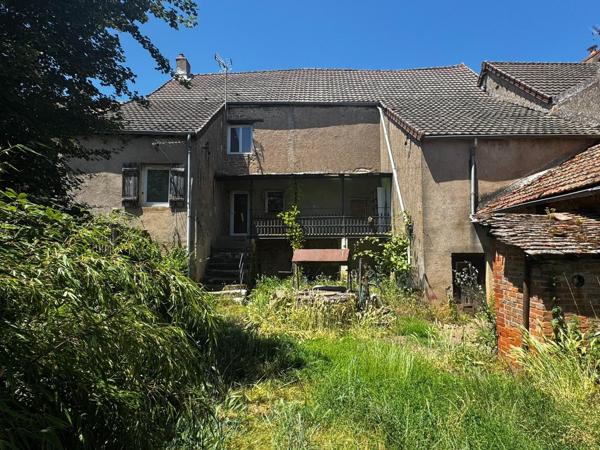 Maison rénovée avec dépendance et grand terrain