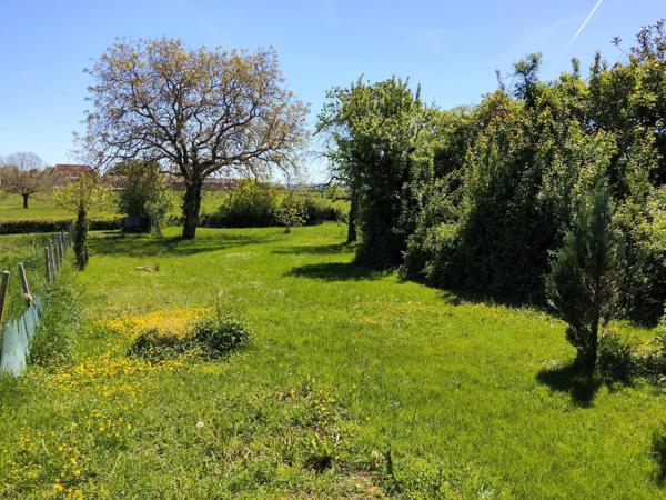 Maison rénovée avec dépendance et grand terrain