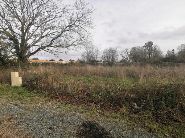 Terrain – Niort