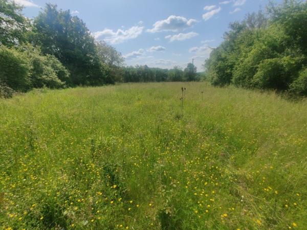 Terrain à bâtir à la limite de Gourdon