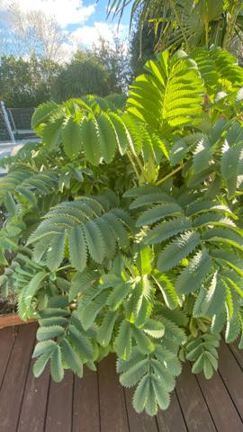 Maison Saint Hilaire De Riez 5 pièce(s) 129 m2