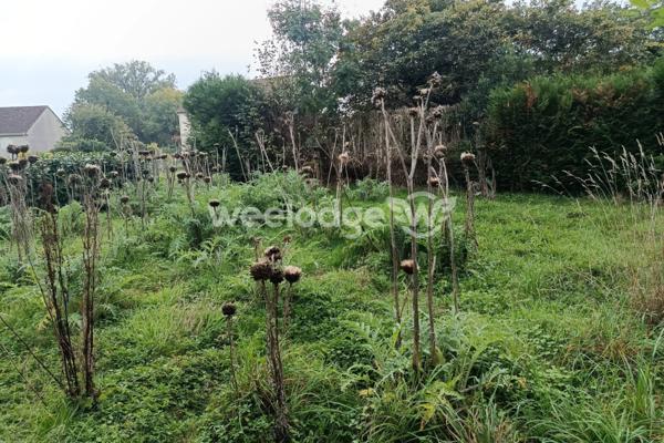 Maison à vendre 7 pièces de 143 m² à Arthon