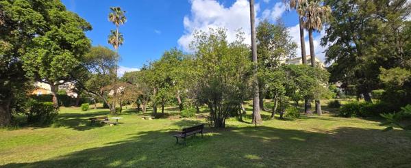 Cannes Alexandre III : Appartement Bourgeois rénové de 150 m2 dans superbe résidence avec parc