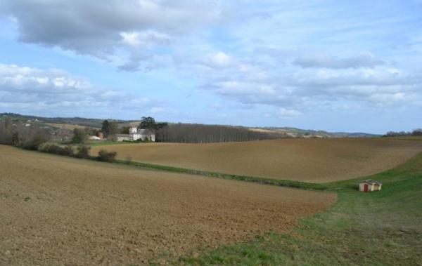 Vente Terrain AVEC LAC DE 12 HECTARES Eauze   