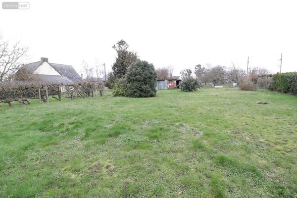 Terrain à Batir à vendre à Betton en Ille-et-Vilaine (35830), ref : CG93
