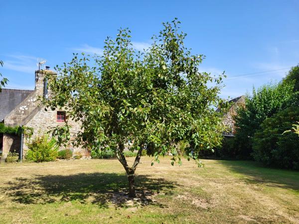 A PLOUBEZRE (22300), beaucoup de charme, ensemble immobilier très COSY en pierre