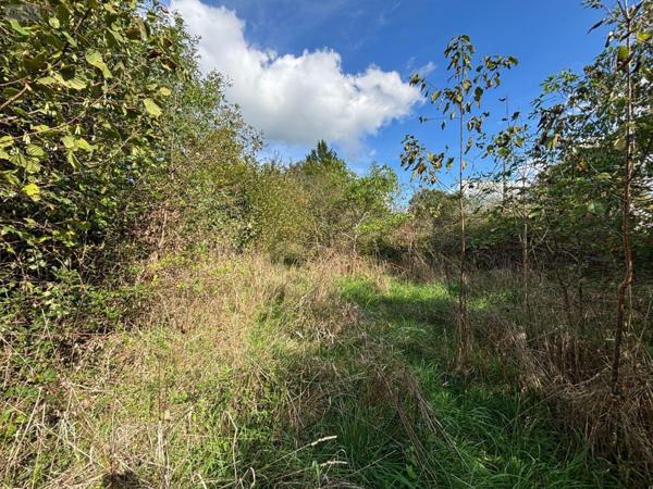 Maison à vendre à Lacapelle-Marival dans le Lot (46120), ref : 46030/MAIS/553