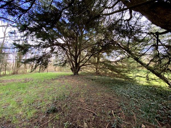 Terrain La Bernerie En Retz