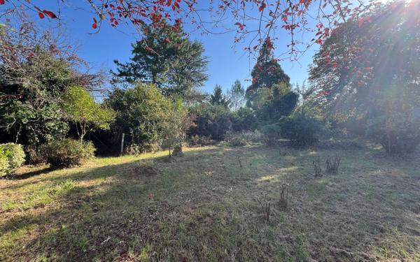 Maison à vendre    7 pièces •  Estang